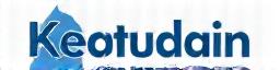Blåis Konsulent Logo